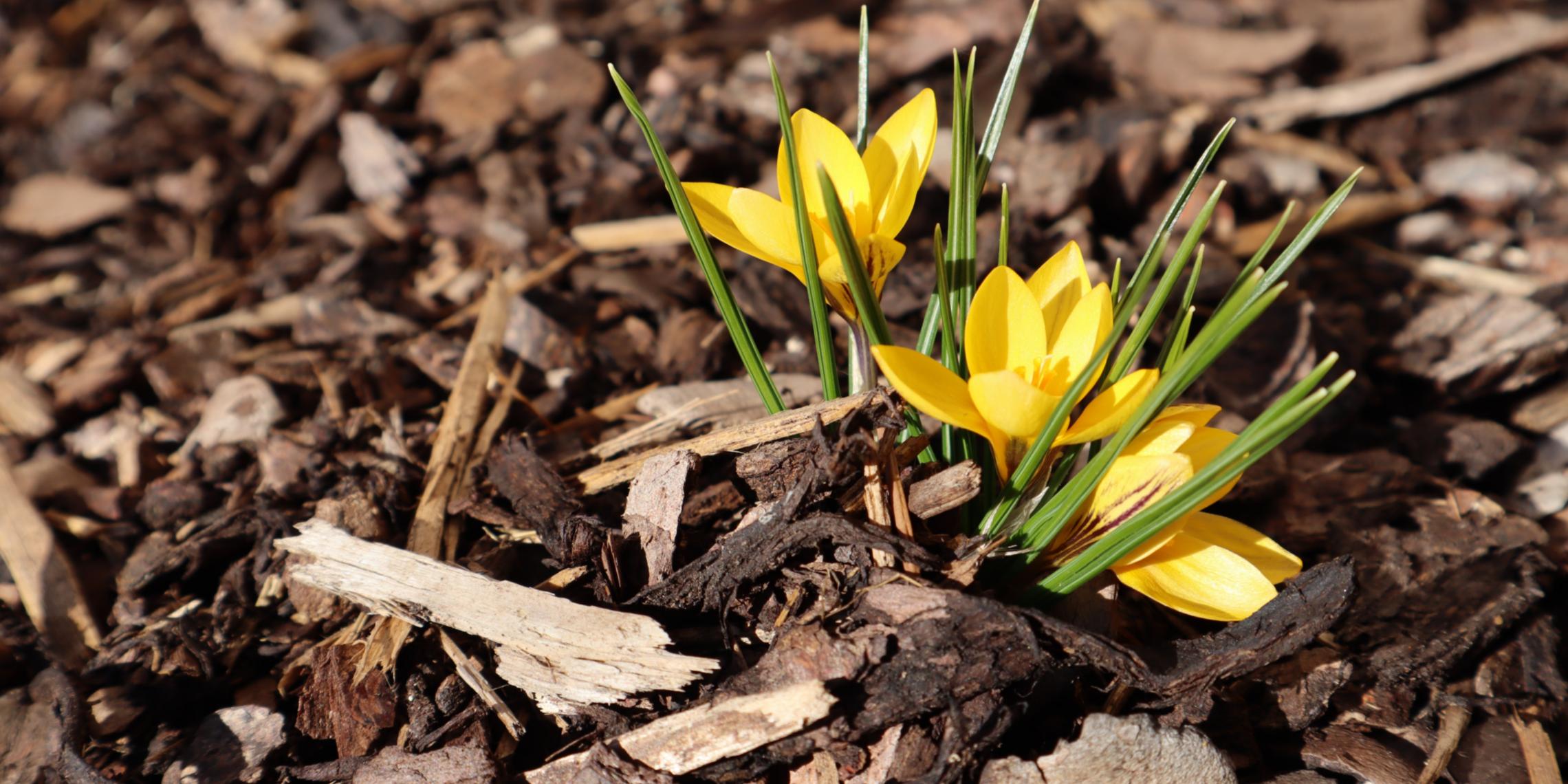 Auf der Homepage der Pfarre St. Matthias Mönchengladbach-Wickrath finden Sie alle Neuigkeiten und Informationen der Gemeinden St. Antonius, St. Mariä Himmelfahrt, Herz-Jesu und Christ König.