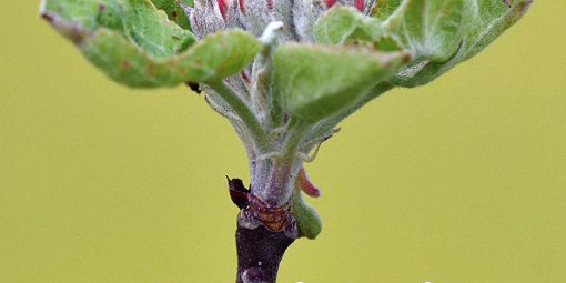 2021-05-16_200_jahre_friedhof